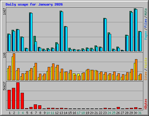 Daily usage for January 2026