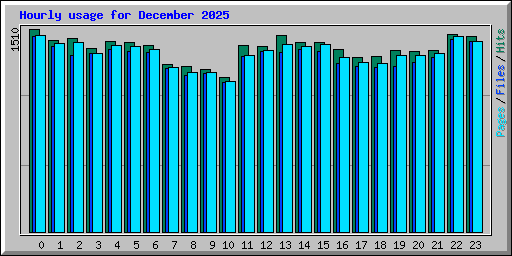 Hourly usage for December 2025