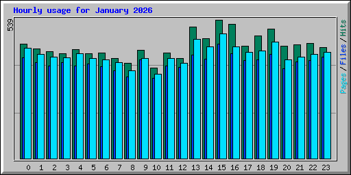 Hourly usage for January 2026