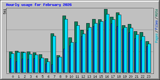 Hourly usage for February 2026